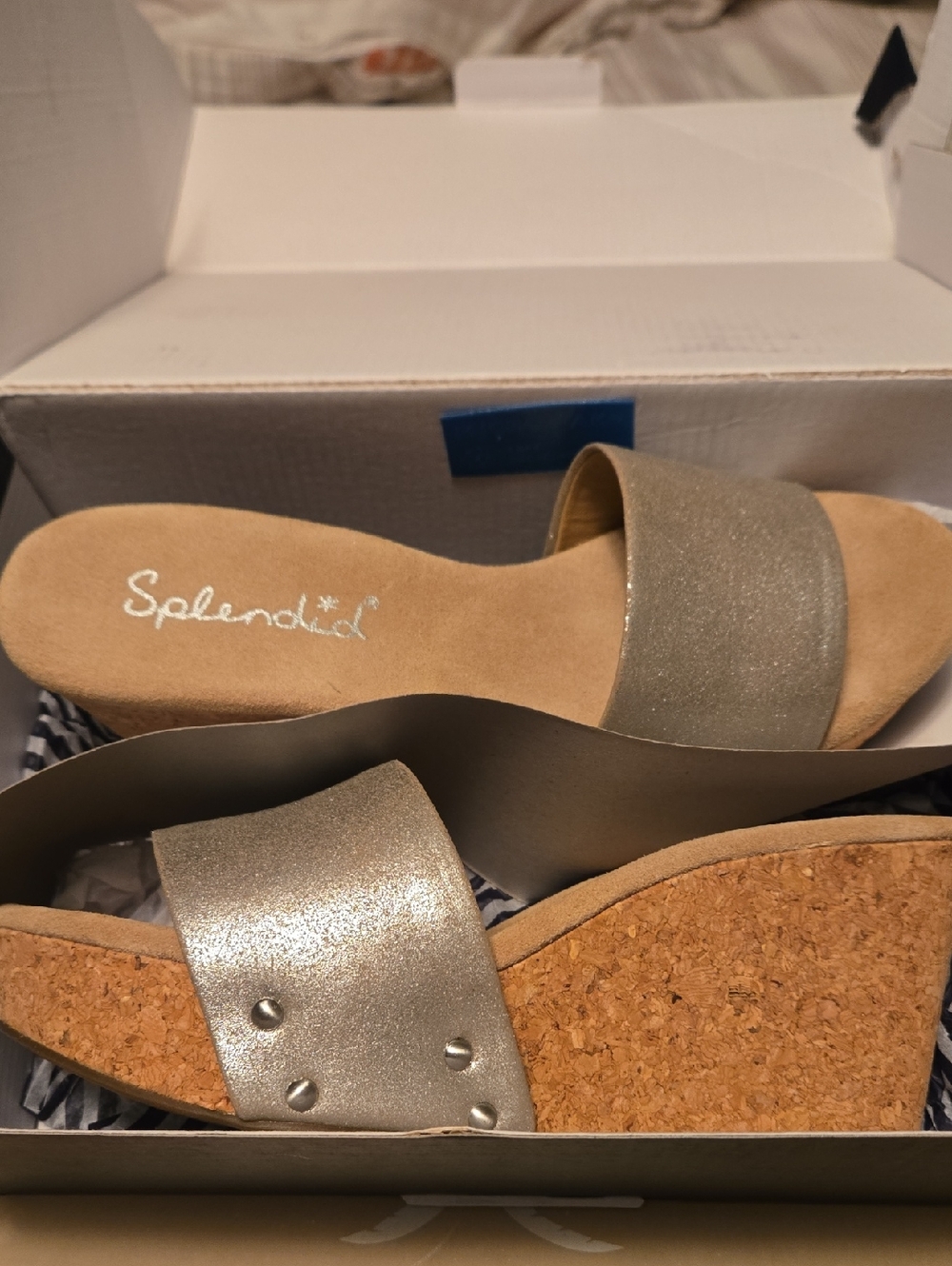 Splendid Metallic Silver Cork Wedge Slide Sandals